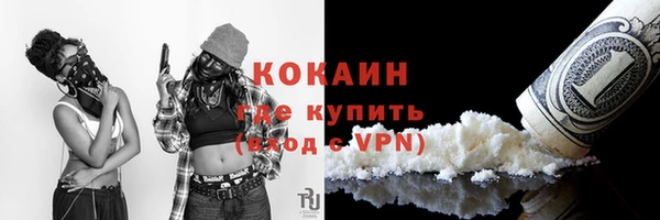 прущие грибы Алексеевка