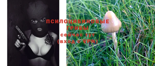 прущие грибы Алексеевка