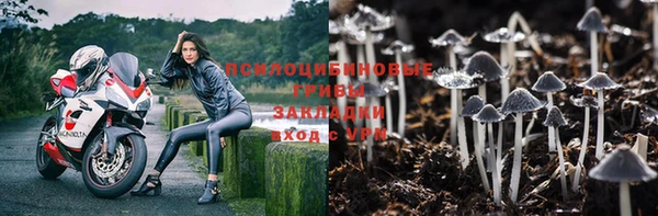 прущие грибы Алексеевка